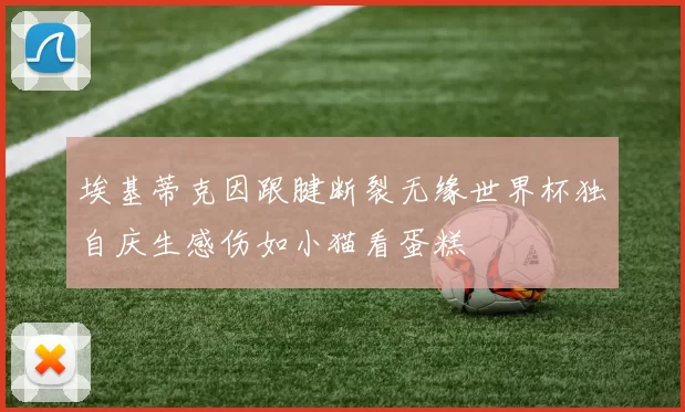 埃基蒂克因跟腱断裂无缘世界杯独自庆生感伤如小猫看蛋糕